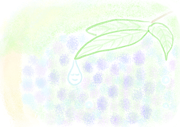 梅雨